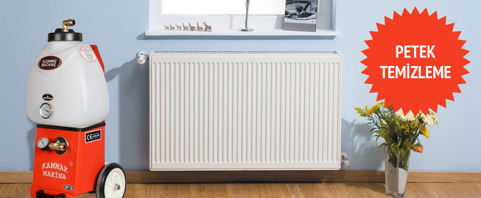 Petek Temizliği ve Bakımı